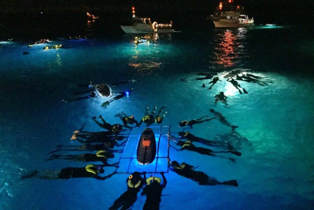 Plongée nocturne avec les raies mantas à Kona, Grande Île