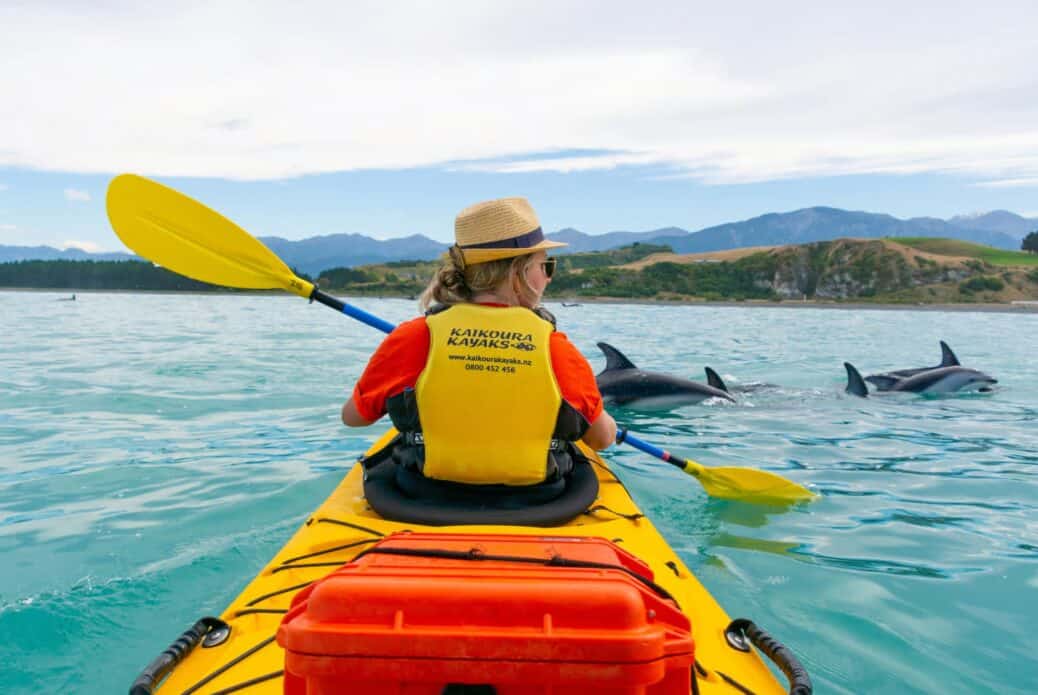 Demi-journée de kayak sur les côtes de Kaikoura