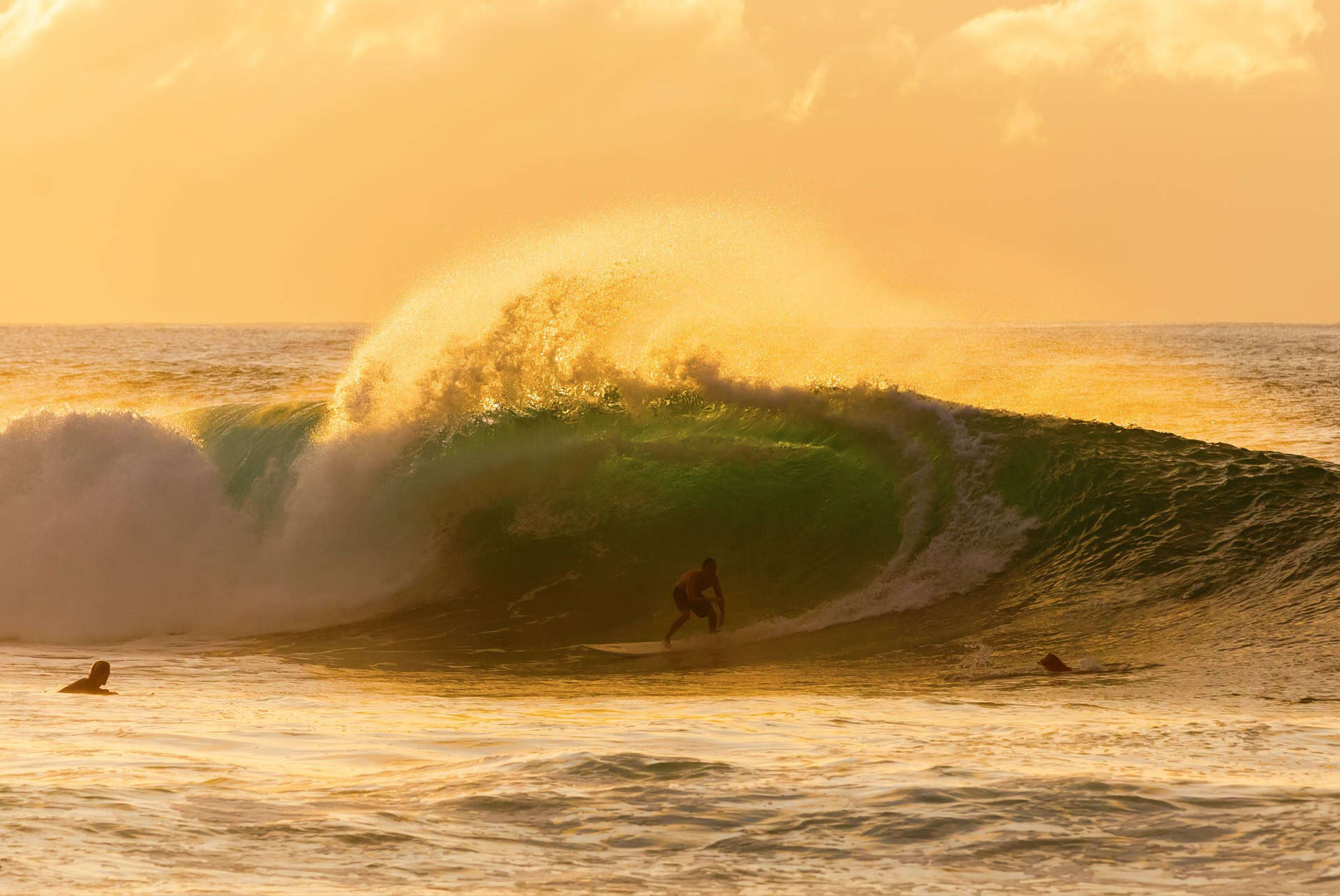 north shore surf
