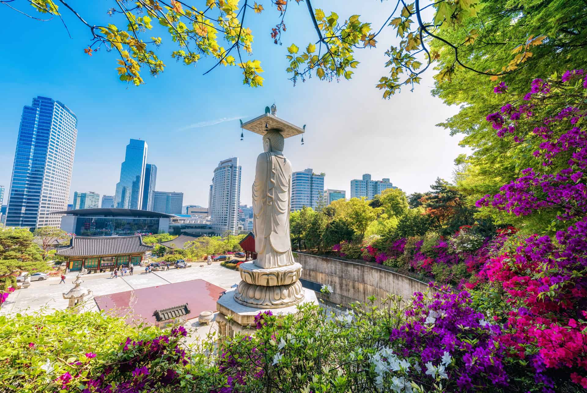 printemps a seoul