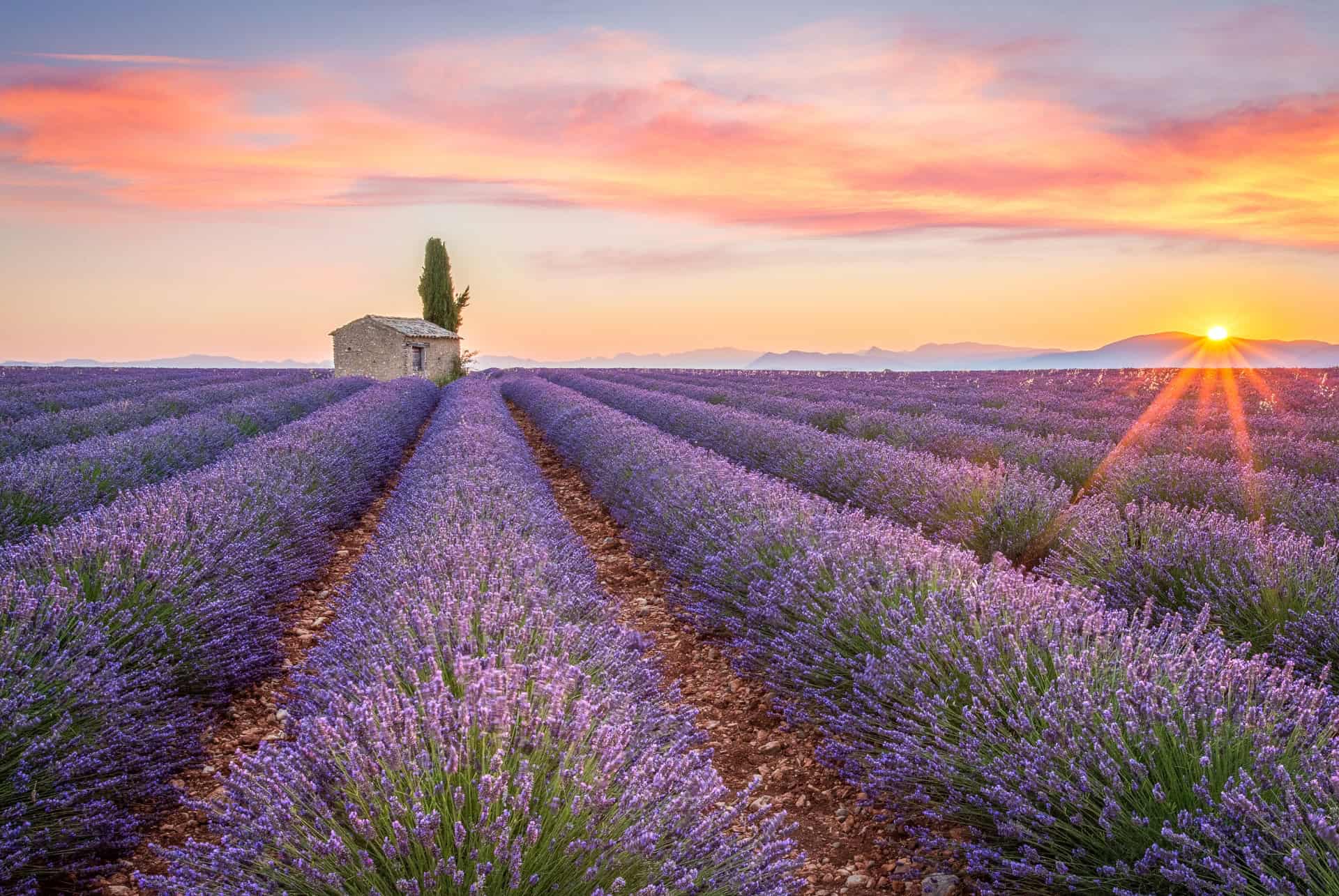 quelle est la meilleure periode quand partir en provence quelle est la meilleure periode quand partir en provence