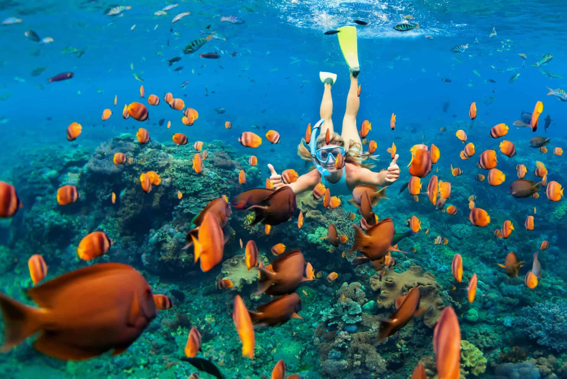 snorkeling a hawai
