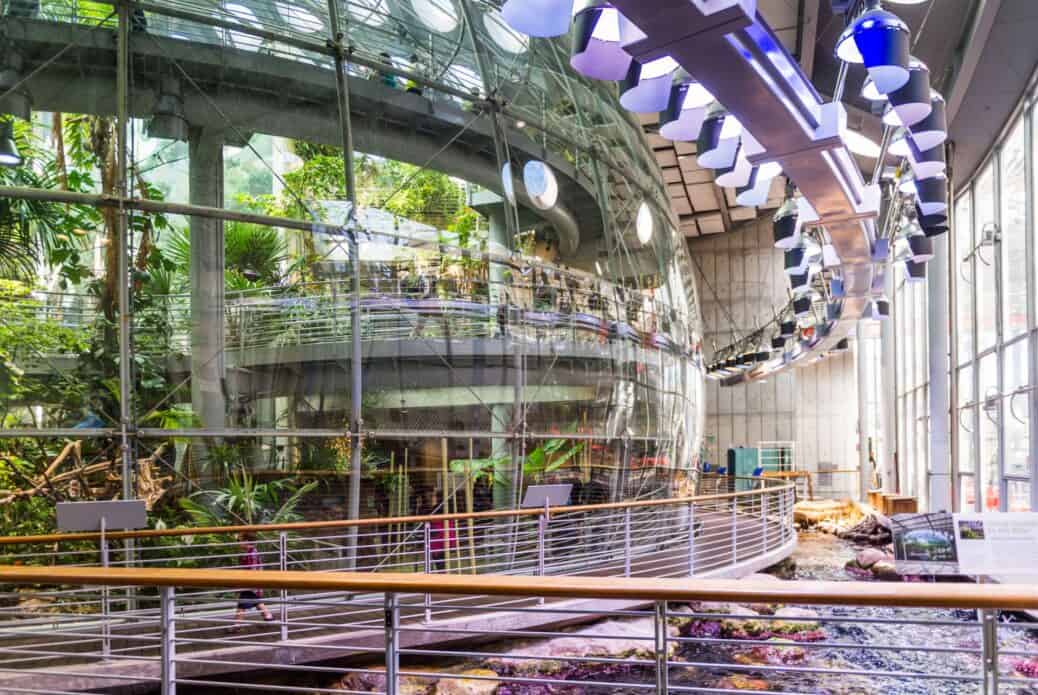 Billet pour l'Académie des sciences de Californie