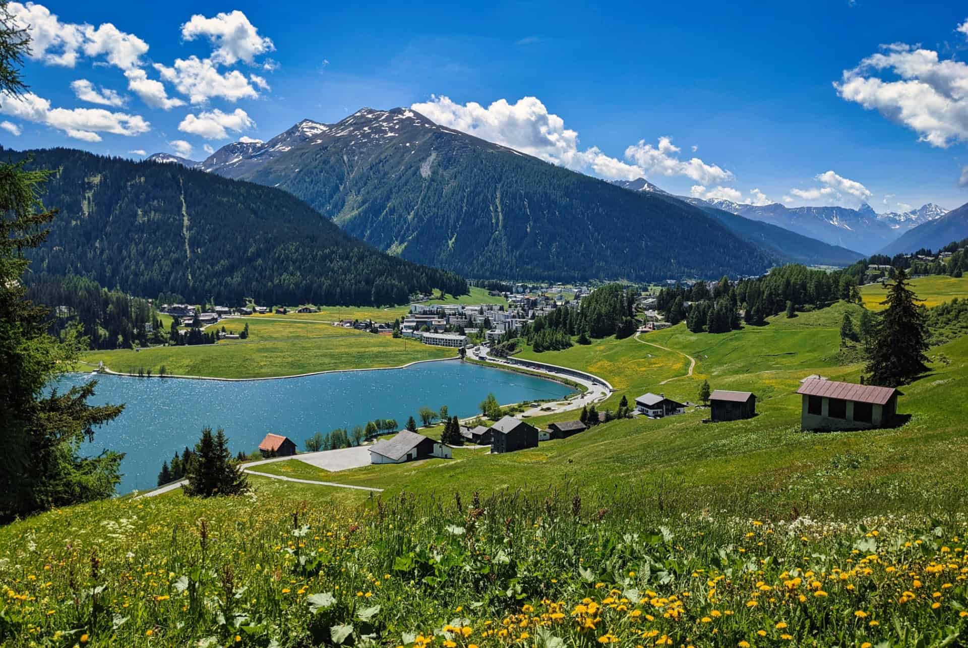 davos davos