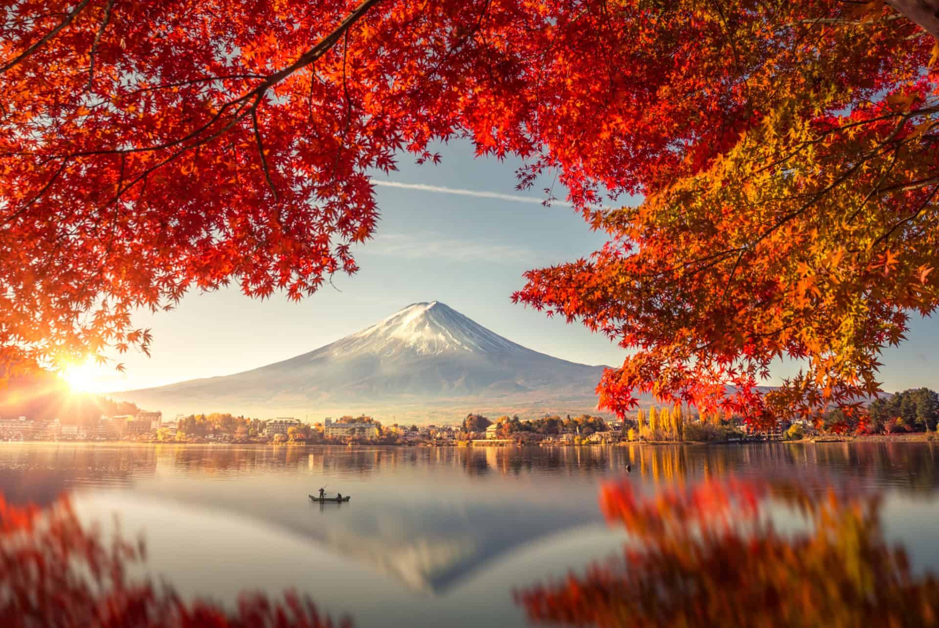 japon en novembre