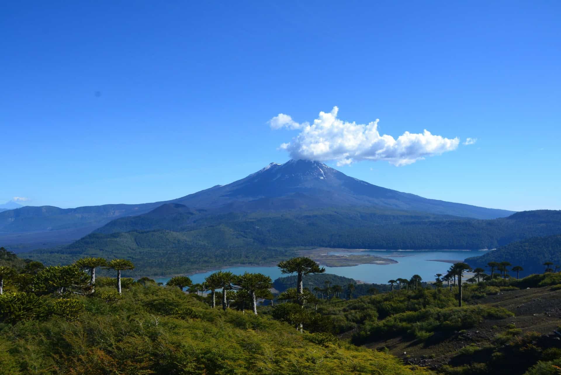 volcan conguillio chili volcan conguillio chili