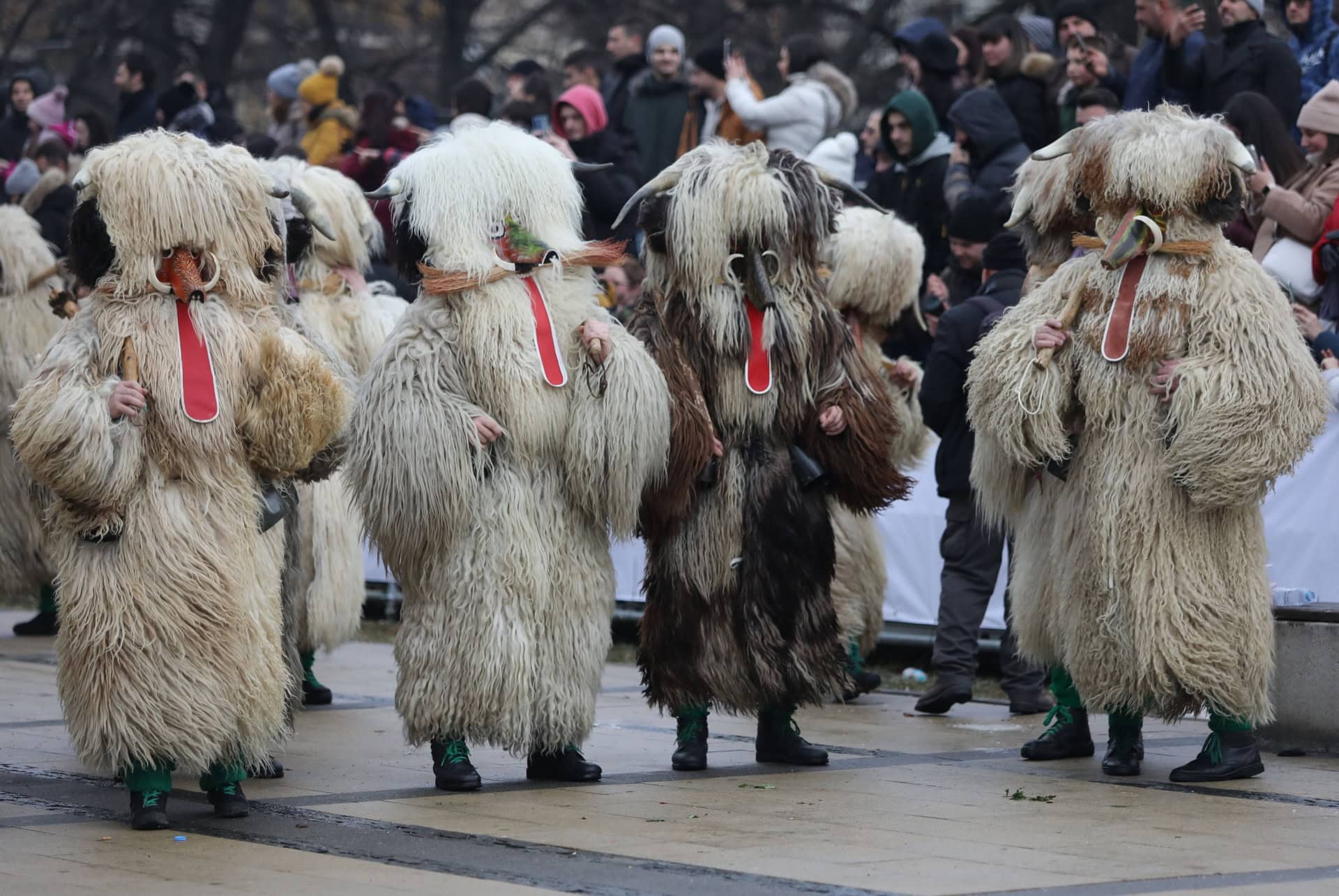 festival pernik festival pernik