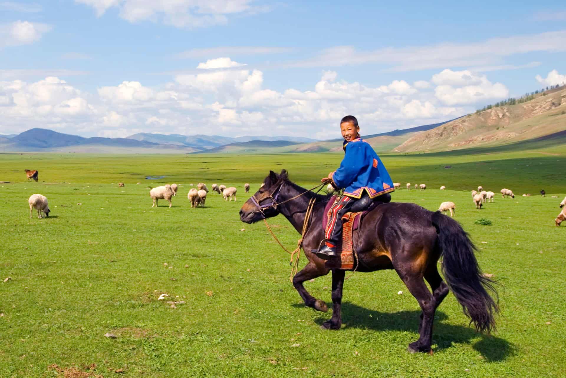 que faire en mongolie