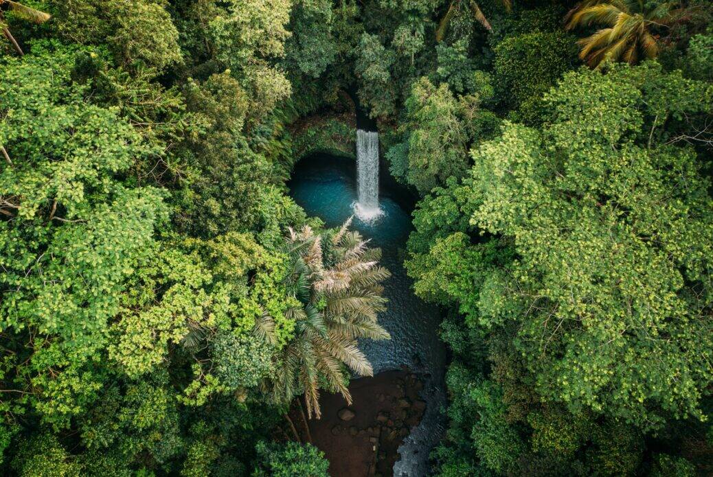 Visite privée d'Ubud avec temple de l'eau