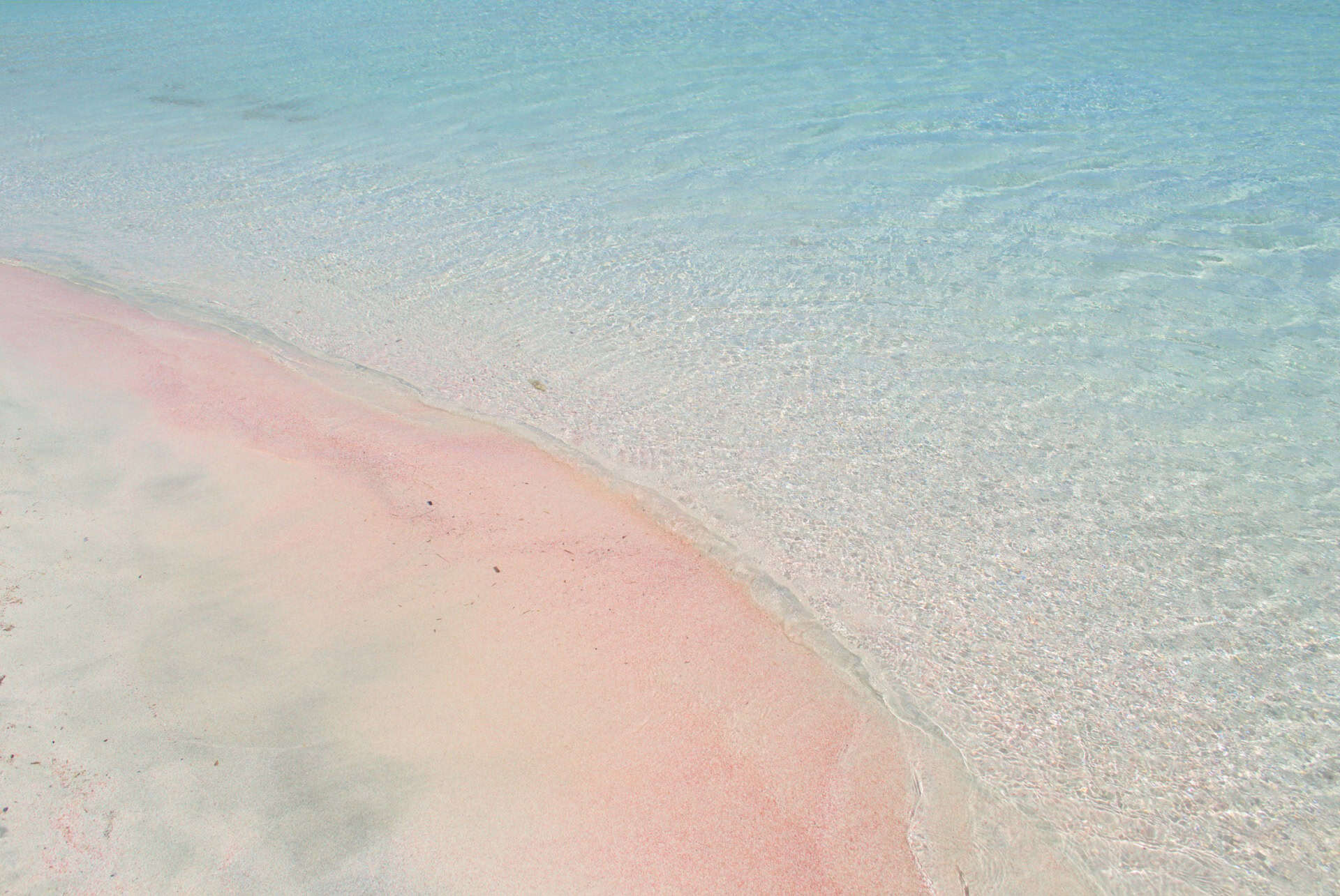 harbour island plage rose harbour island plage rose