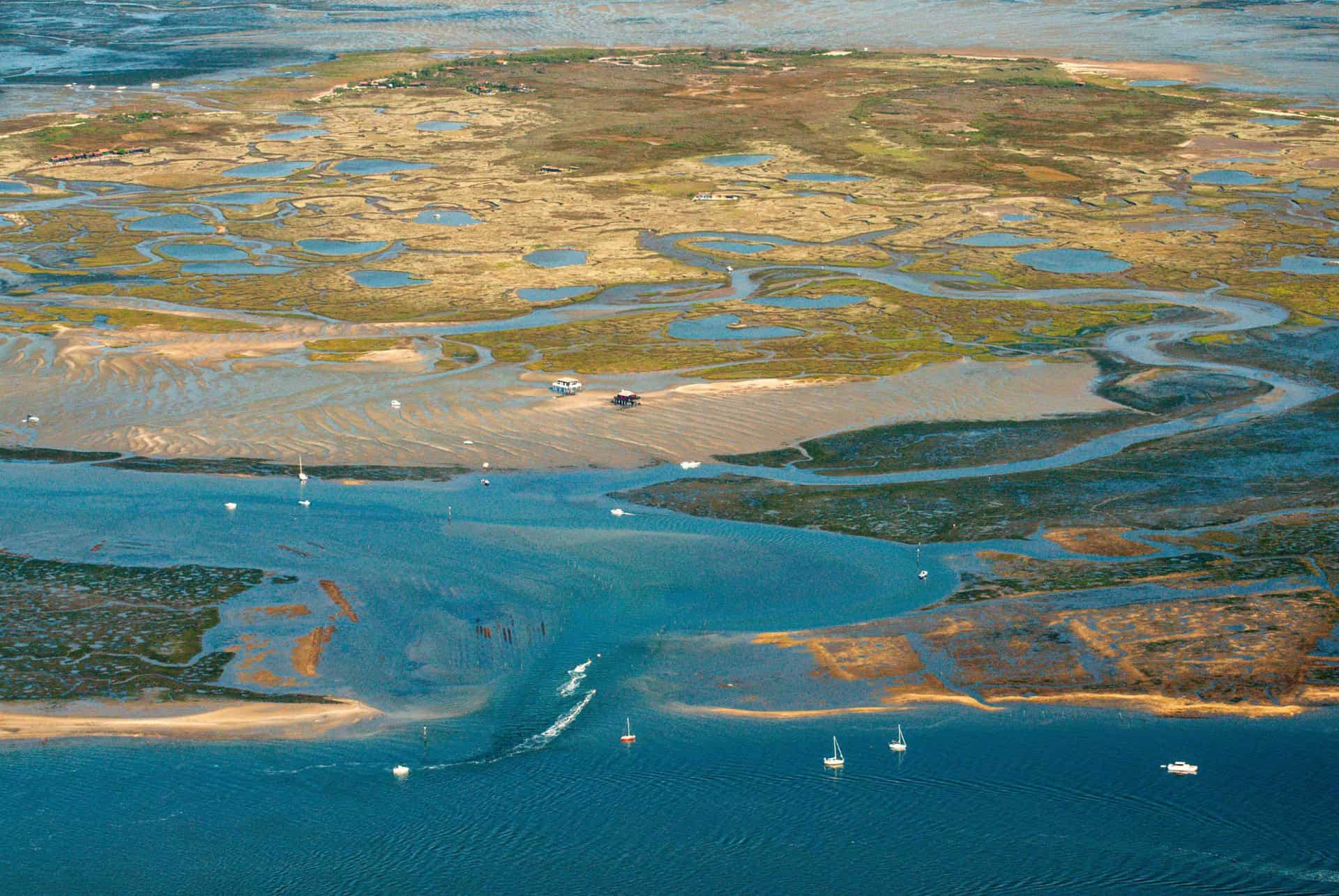 ile aux oiseaux