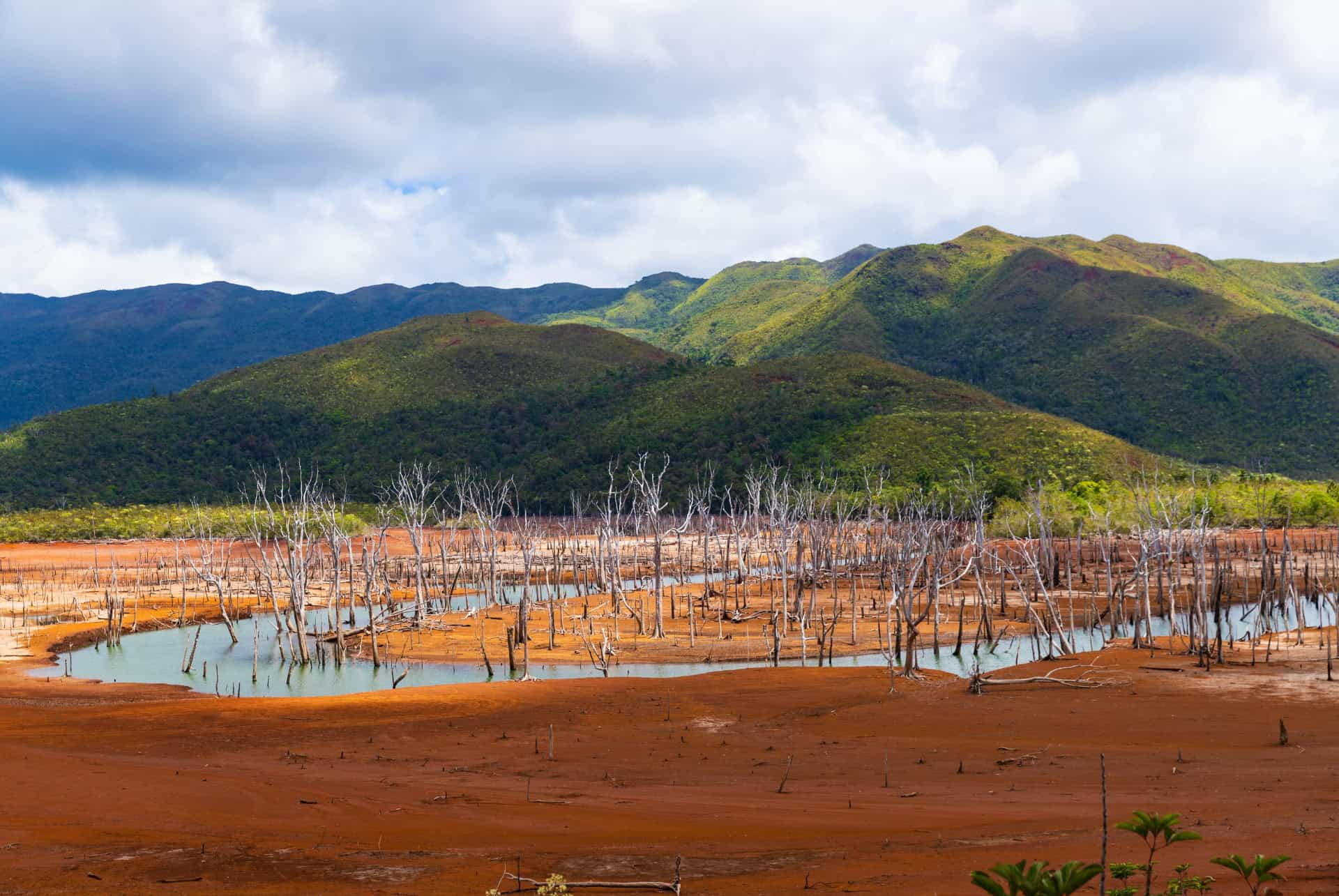 parc riviere bleue nouvelle-caledonie parc riviere bleue nouvelle-caledonie