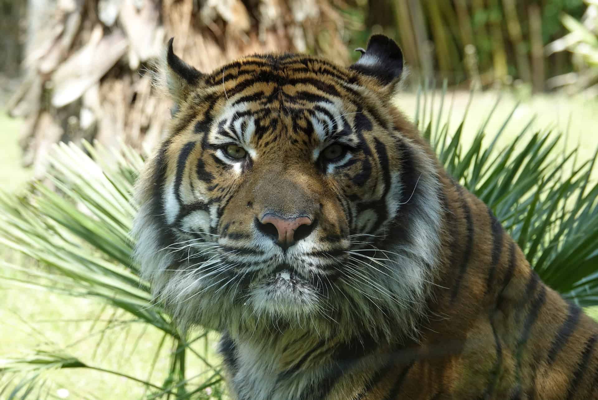 zoo bassin arcachon