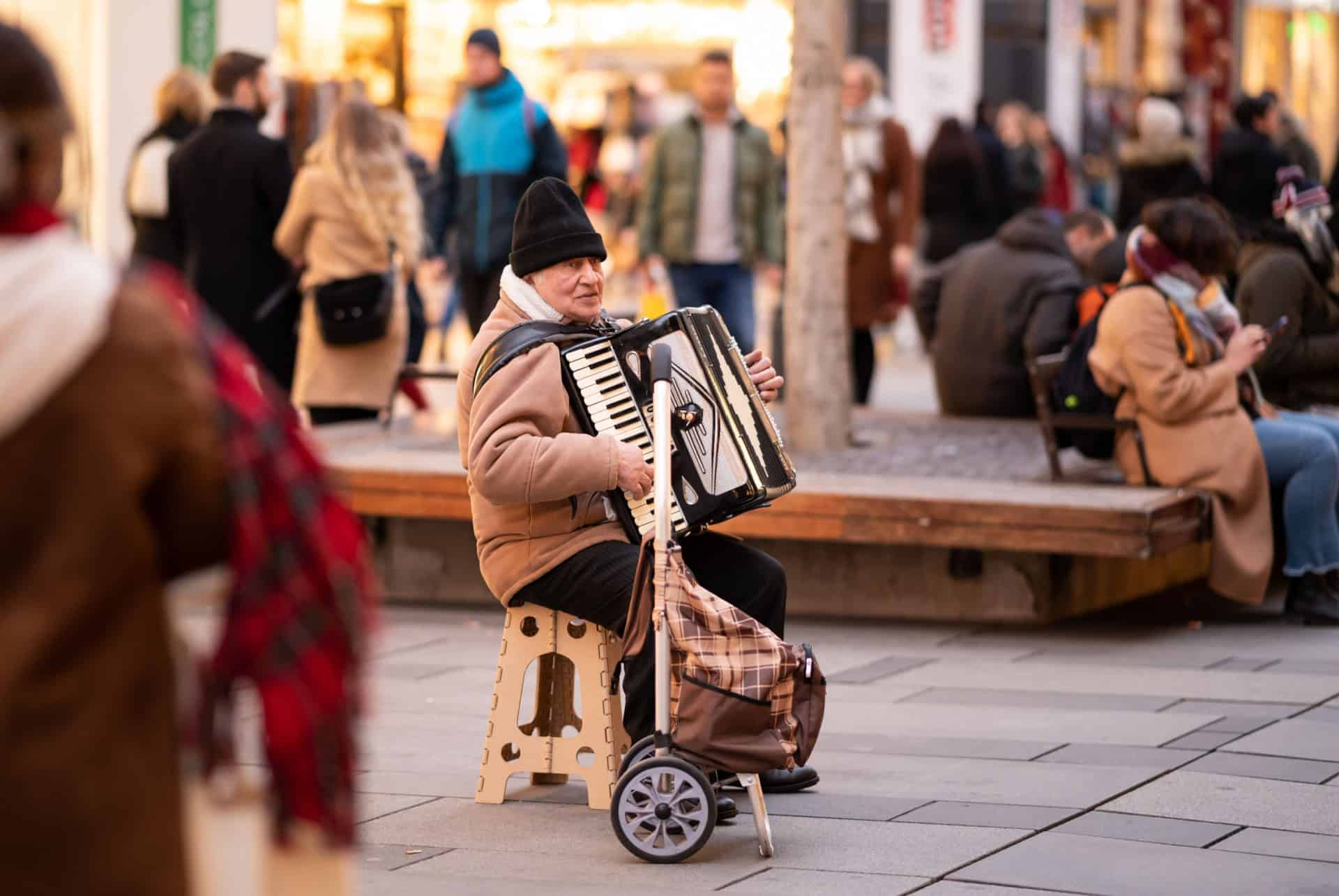 accordeon a vienne