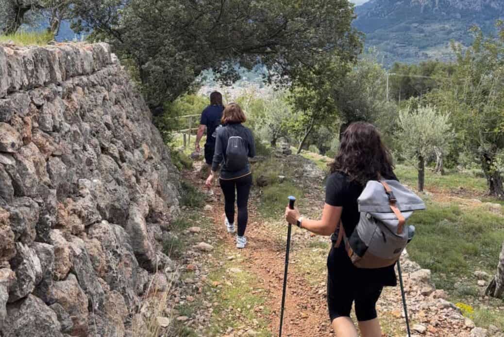Randonnée guidée dans la Sierra Tramuntana avec pique-nique