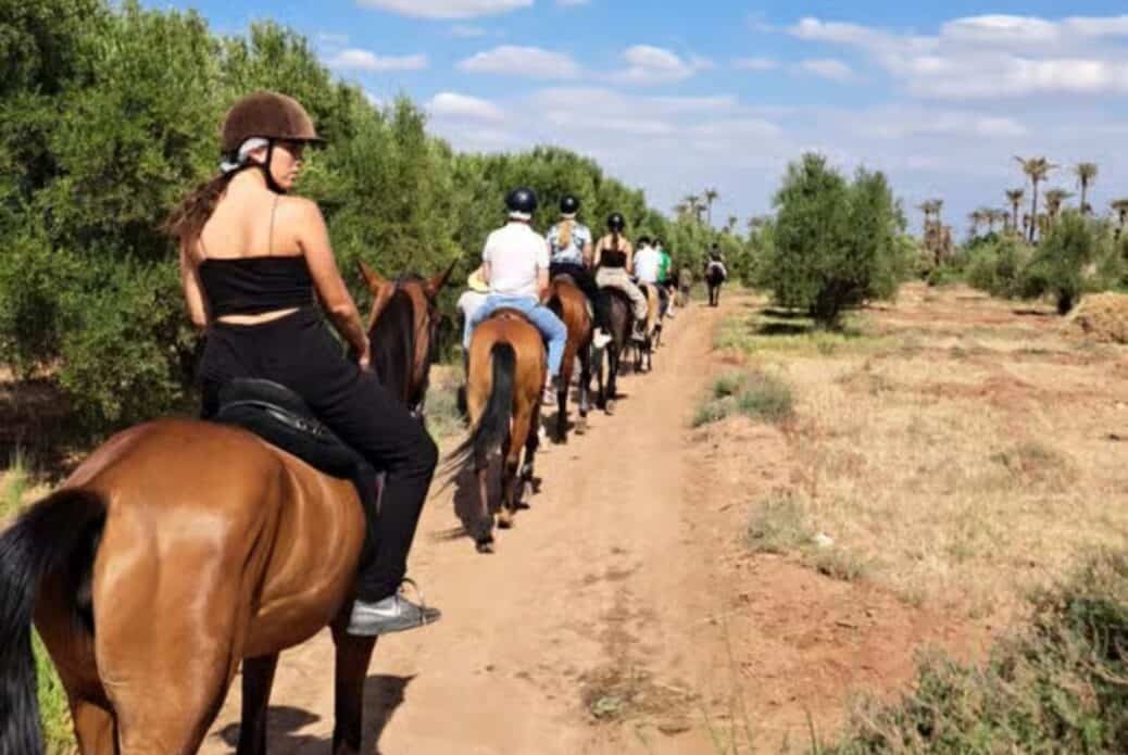 Excursion à la Palmeraie en cheval