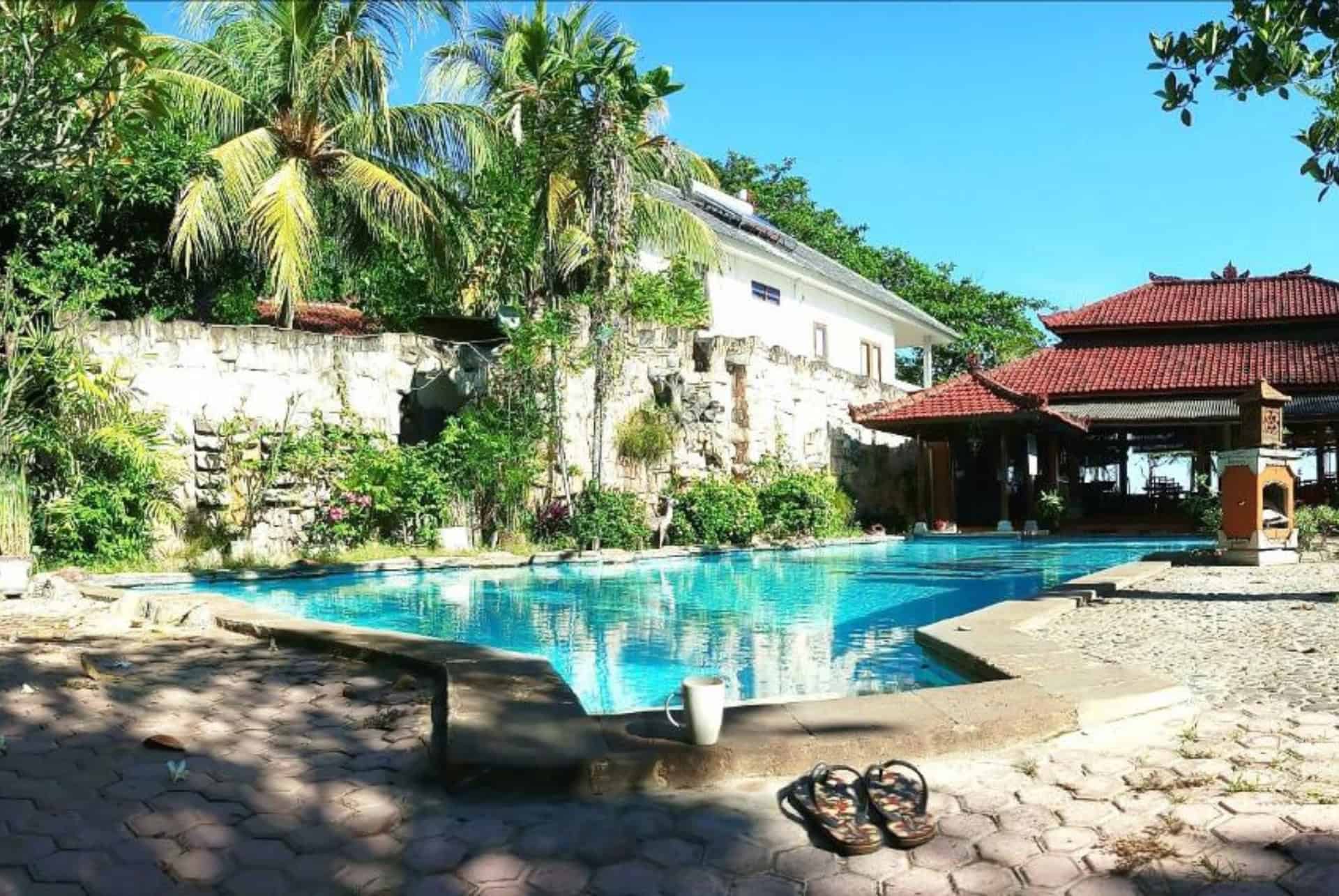 lovina beach hotel
