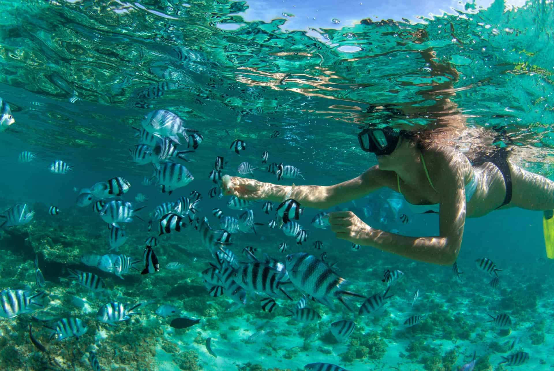 snorkeling fond marin ile maurice snorkeling fond marin