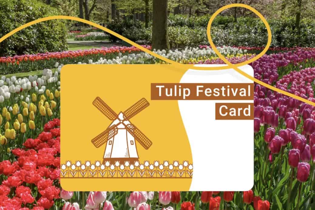 Tulip Festival Card