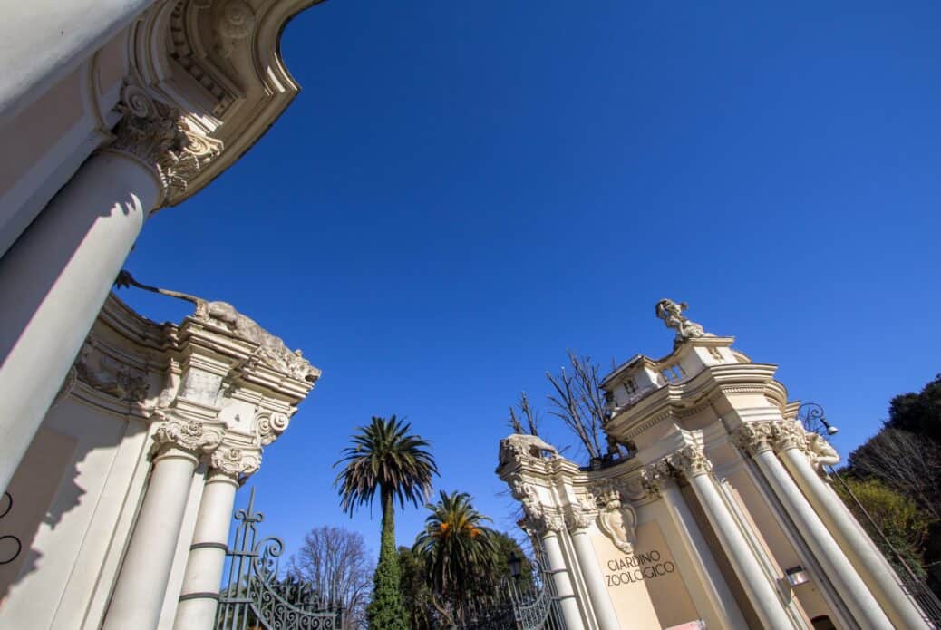 Billet pour le zoo de Rome