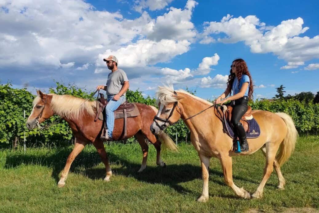 Balade à cheval dans la campagne
