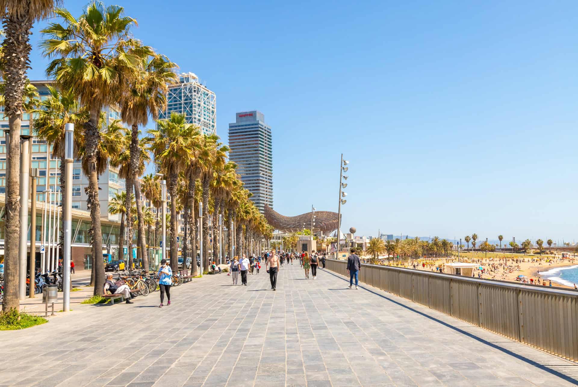 barceloneta barceloneta