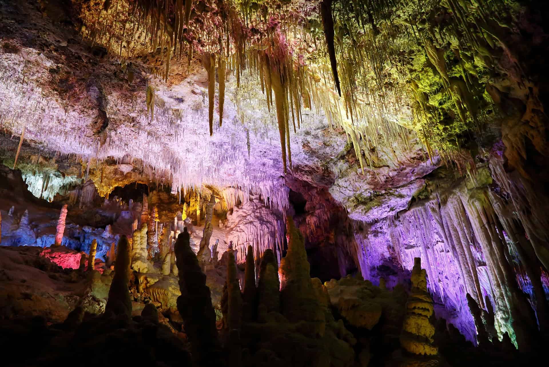 grottes dels hams