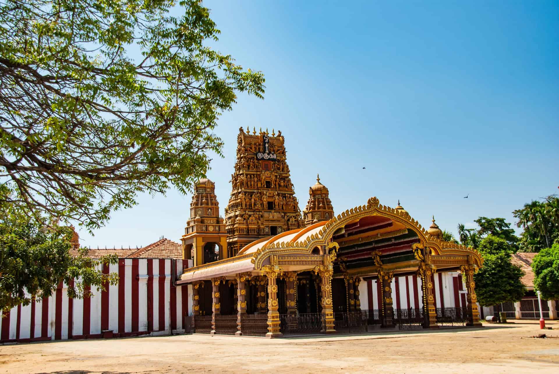 temple nallur kandaswamy