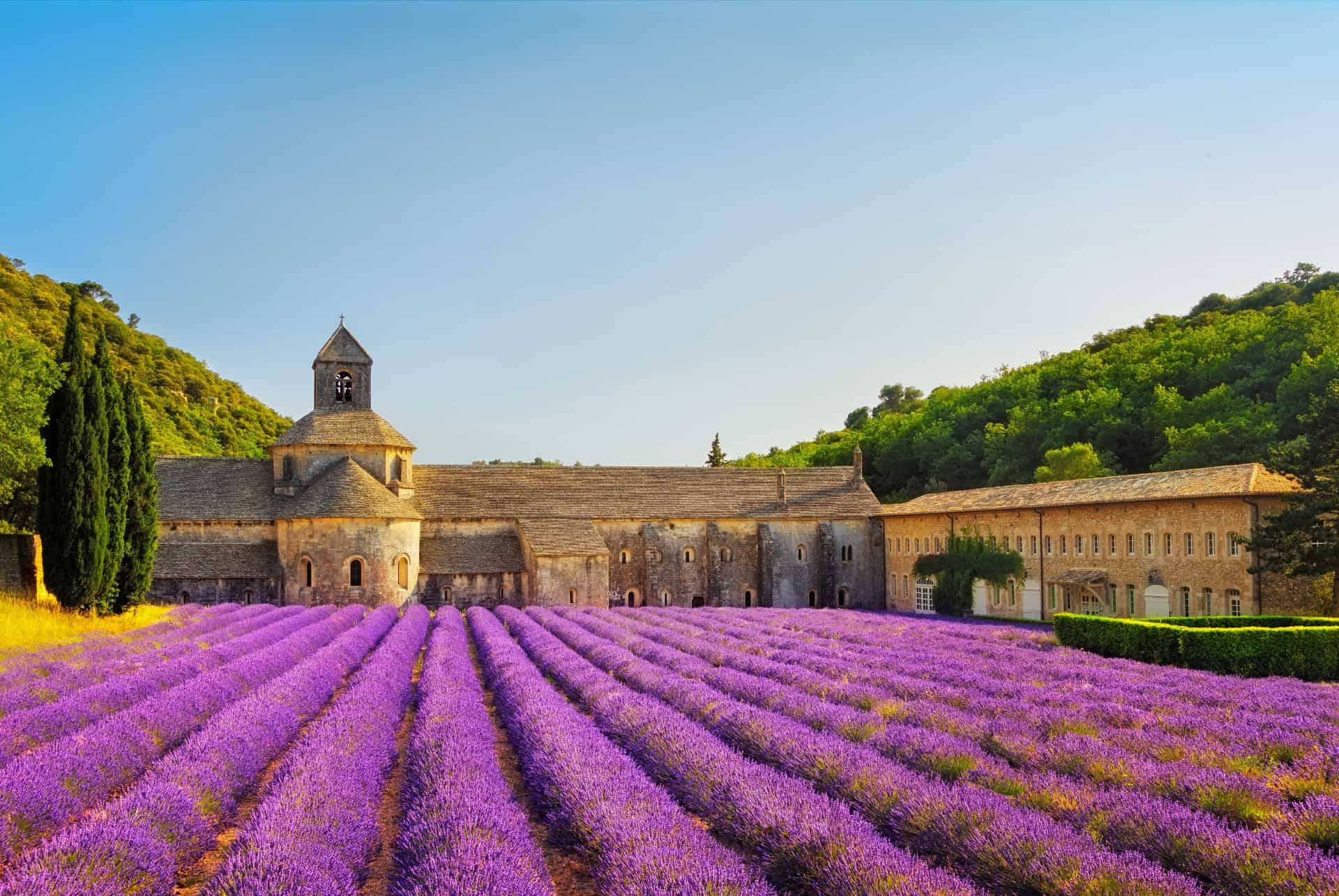 Abbaye de Sénanque et son champ de lavande en fleurs Abbaye de Sénanque et son champ de lavande en fleurs