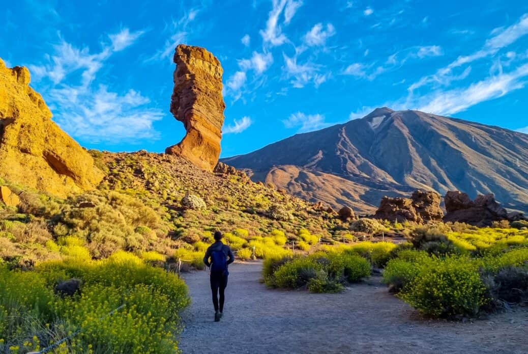 Visite d'une journée du parc national du Teide