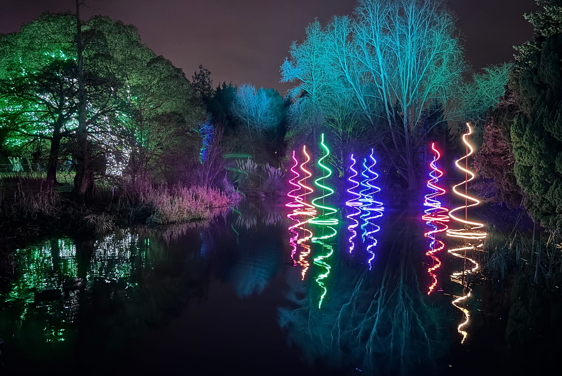 Arbres illuminés et sculptures lumineuses reflétés dans l'étang du jardin botanique royal d'Édimbourg Arbres illuminés et sculptures lumineuses reflétés dans l'étang du jardin botanique royal d'Édimbourg