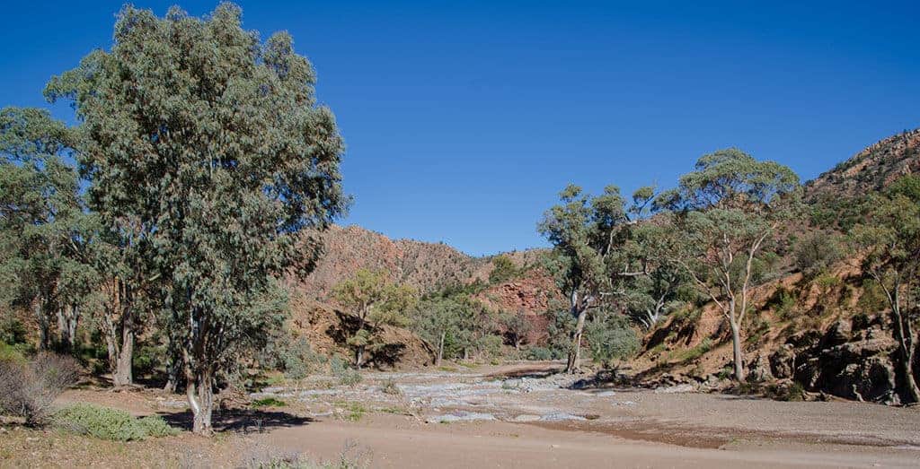 Brachina Gorge - Flinders Ranges