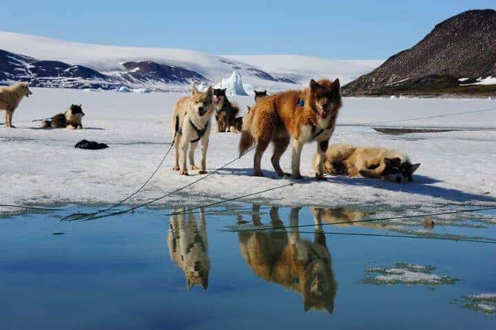 voyager en islande
