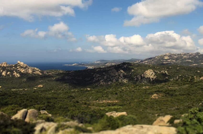 corse-ile-de-beaute