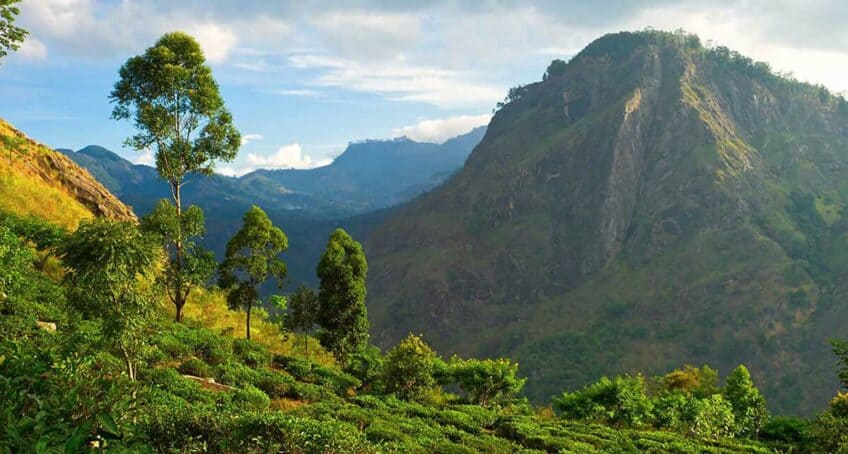 Horton-Plains-Sri-Lanka