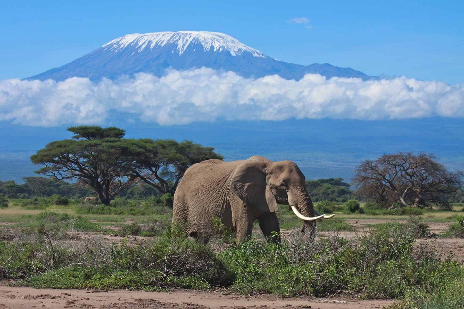 tanzanie afrique