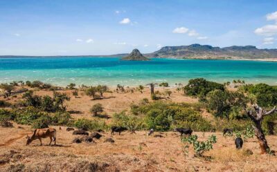 madagascar