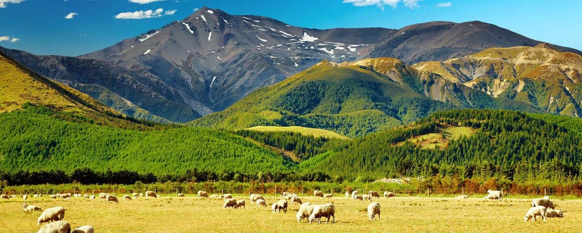 Détente en Nouvelle-Zélande... | VoyageAvecNous