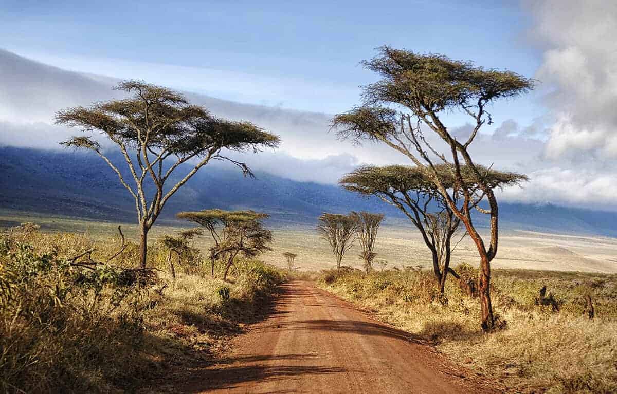 tanzanie paysage