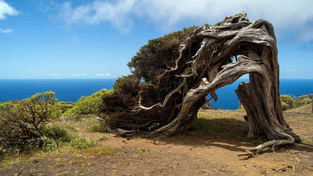 el-hierro-que-faire-aux-canaries