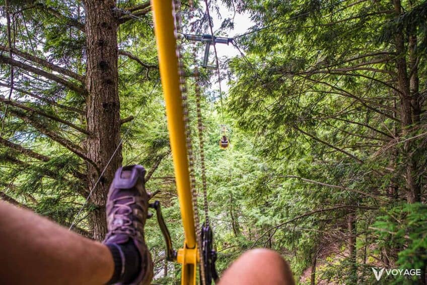 velo-dans-arbre-diable-vert-quebec