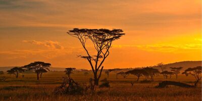 afrique-du-sud
