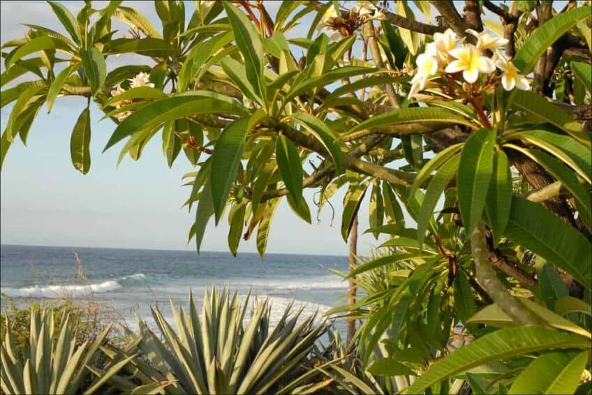 Paysage de l'île de la Réunion
