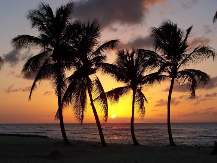quand partir en guadeloupe