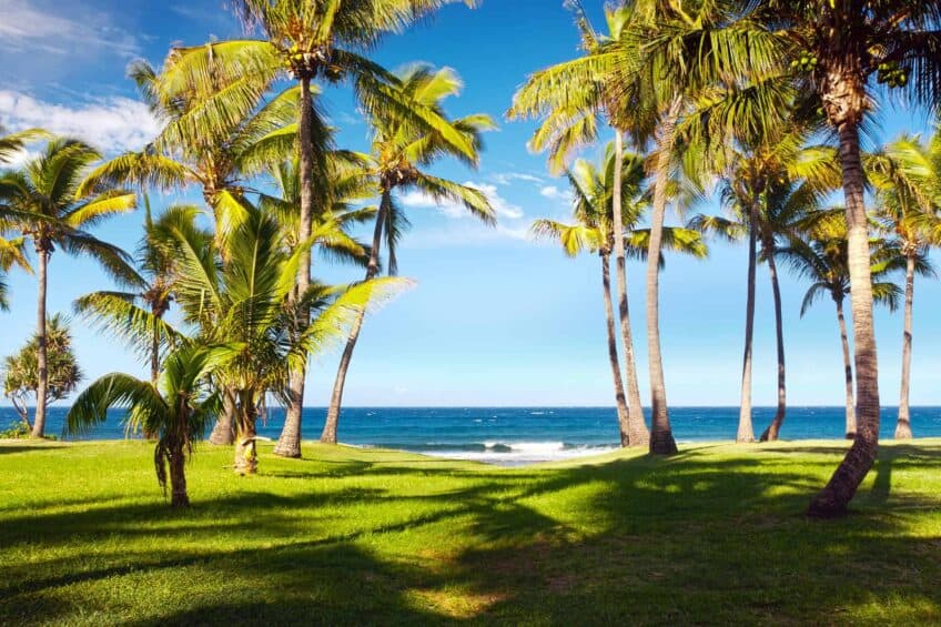 plages ile de la reunion