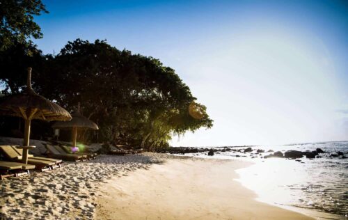 club med la plantation albion