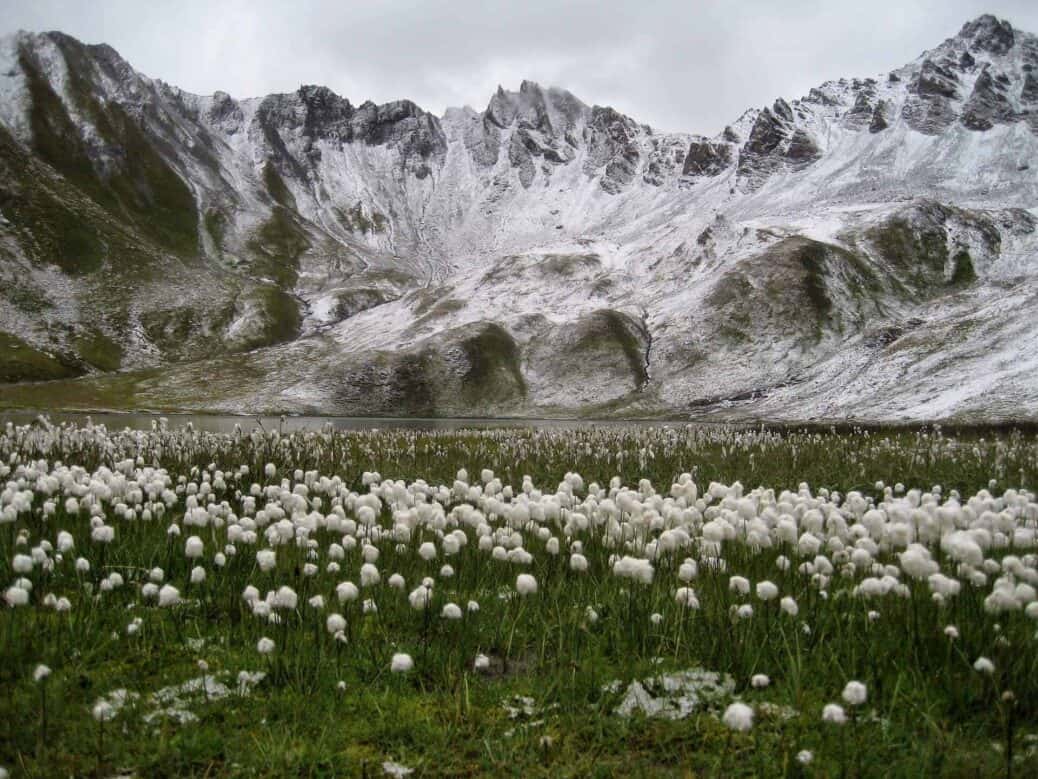 decouvrir tignes