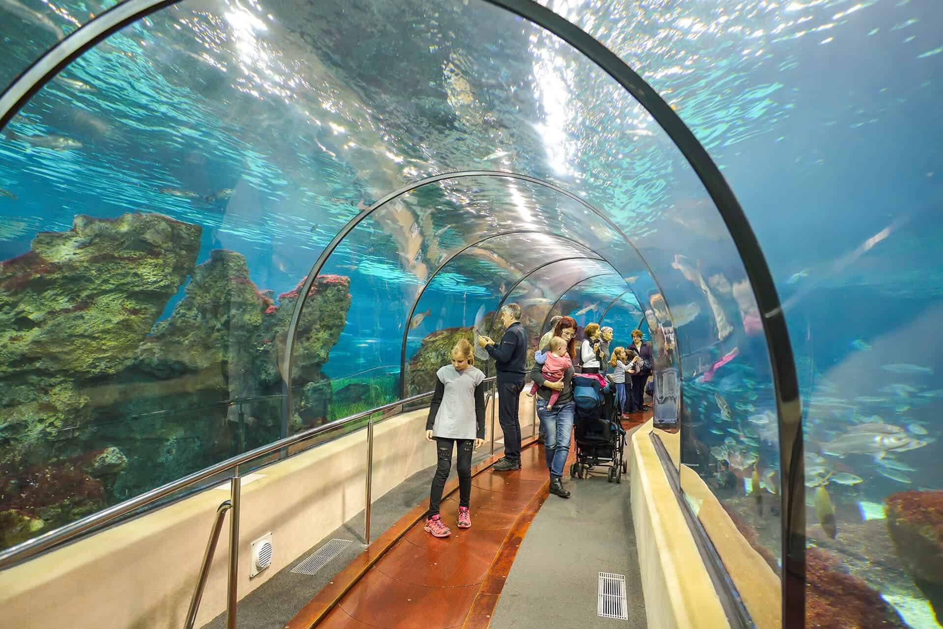 visiter-l-aquarium-de-barcelone-infos-tarifs-billets-et-nos-conseils