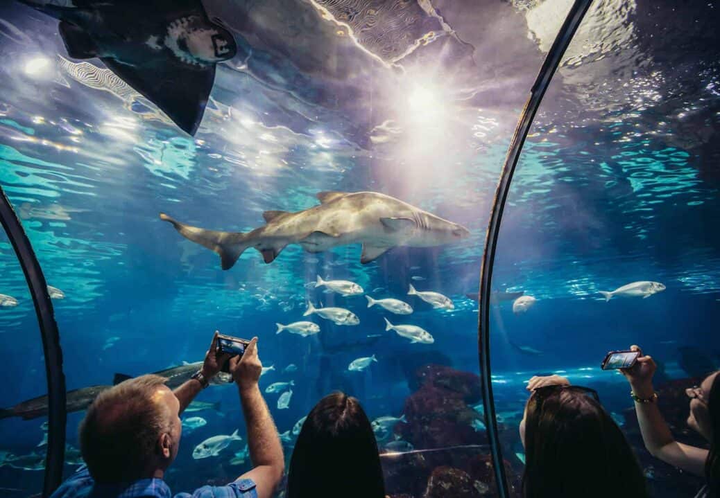 tunnel aquarium barcelone