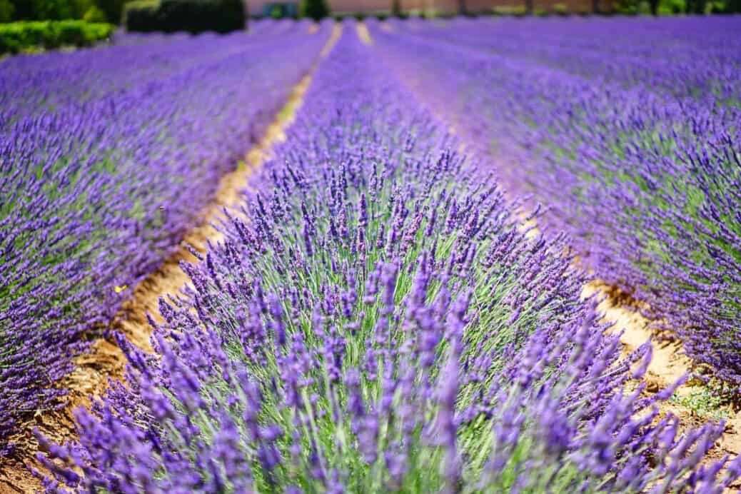 découvrir provence cote azur